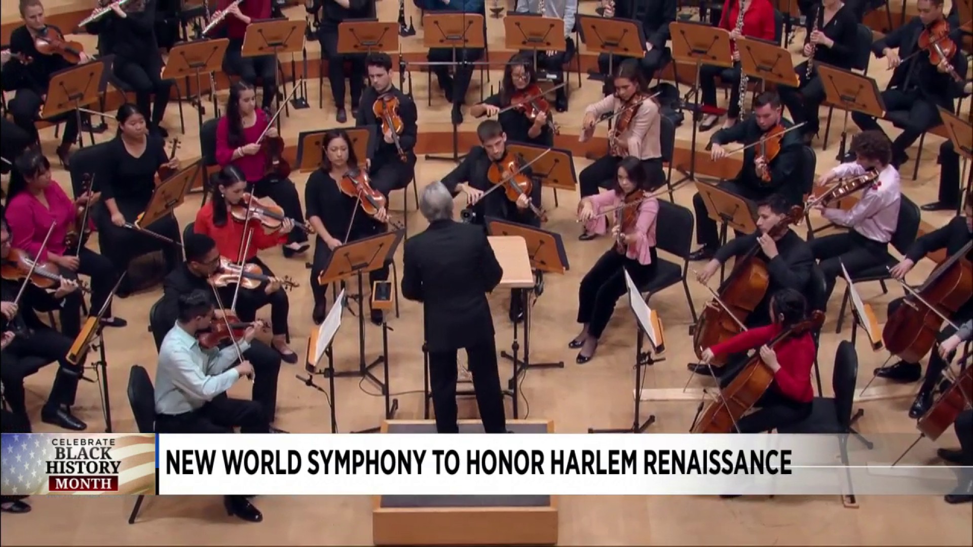 Fellows of New World Symphony, New World Symphony