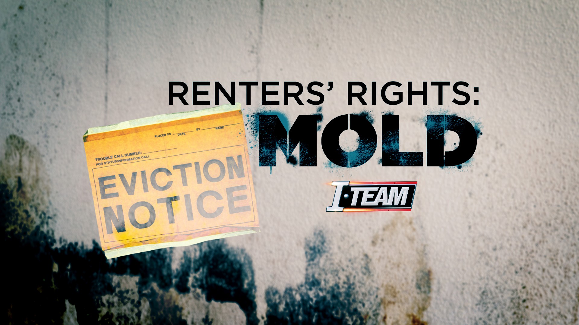 How to Deal With Apartment Mold - The Ultimate Guide