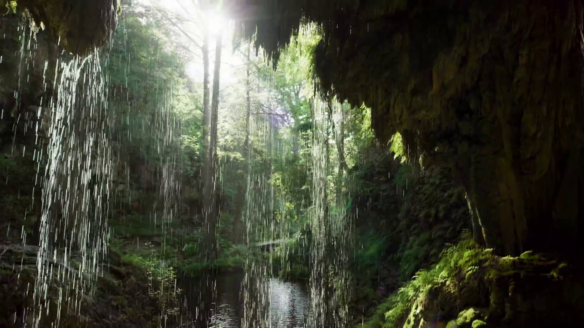 Great Springs Project' will connect San Antonio to Austin with 100 miles of  trails