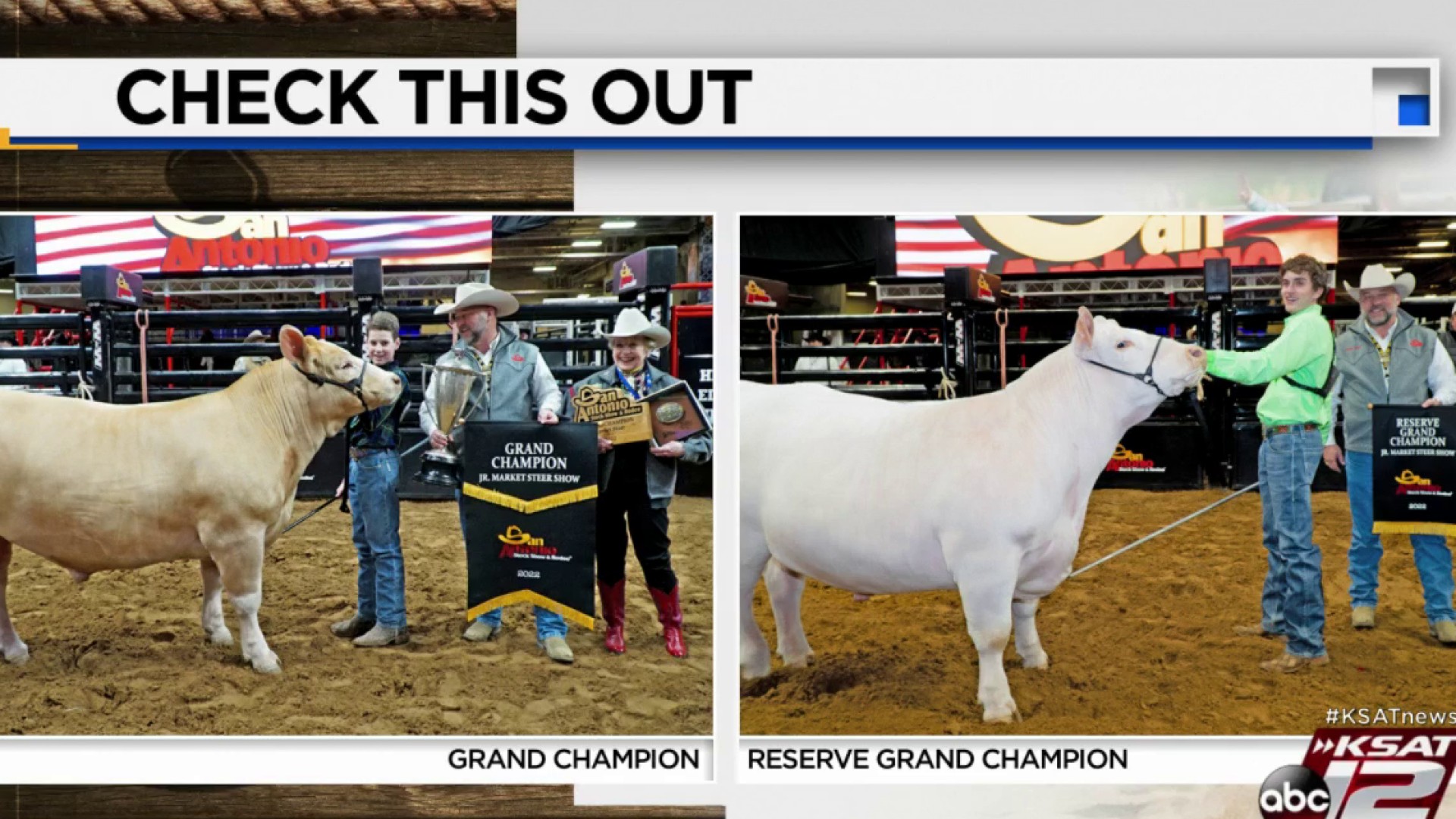 Difference between Grand Champion And Reserve Grand Champion 