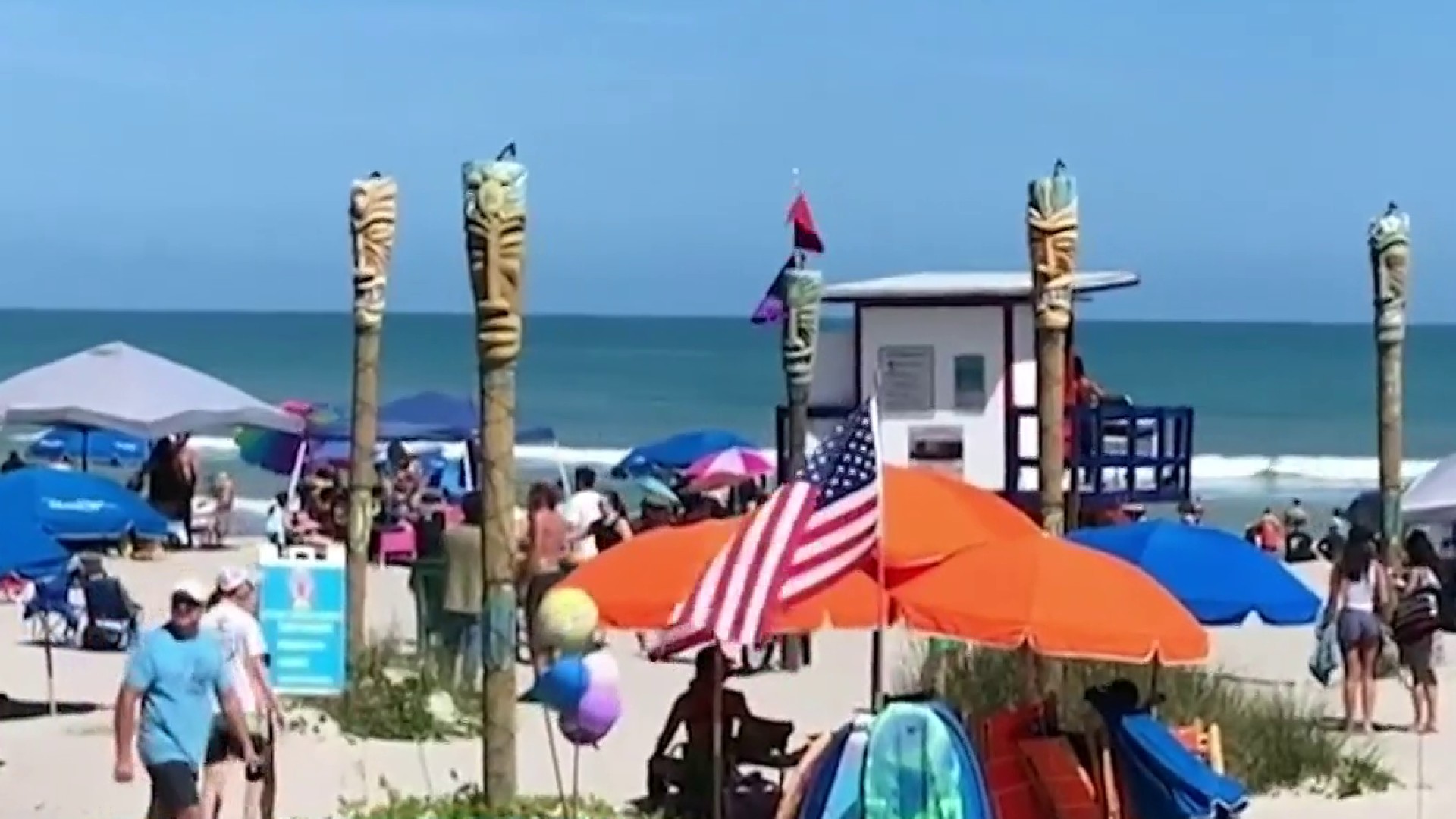 are dogs allowed on brevard county beaches