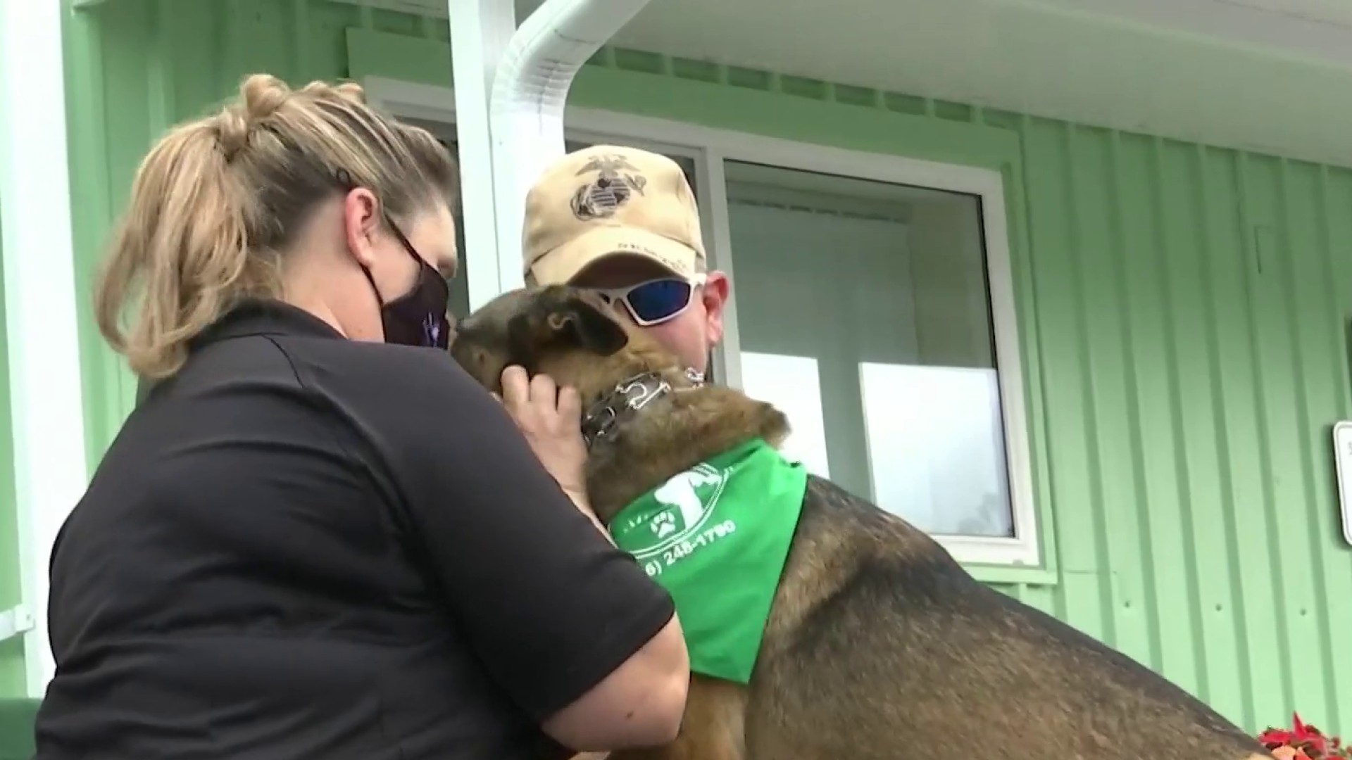 Miracle' dog thrown from Volusia balcony becoming service animal for veteran