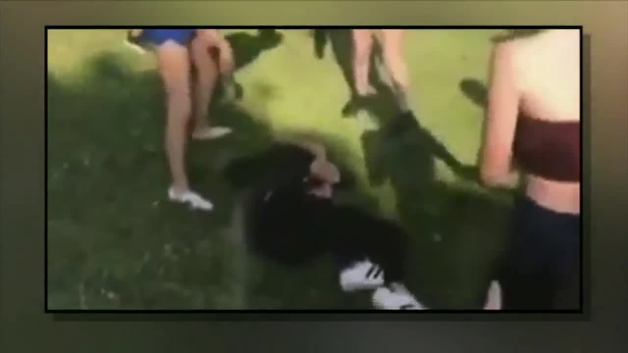 vagabond følgeslutning konsensus Video shows group of teenage girls beating Muslim student