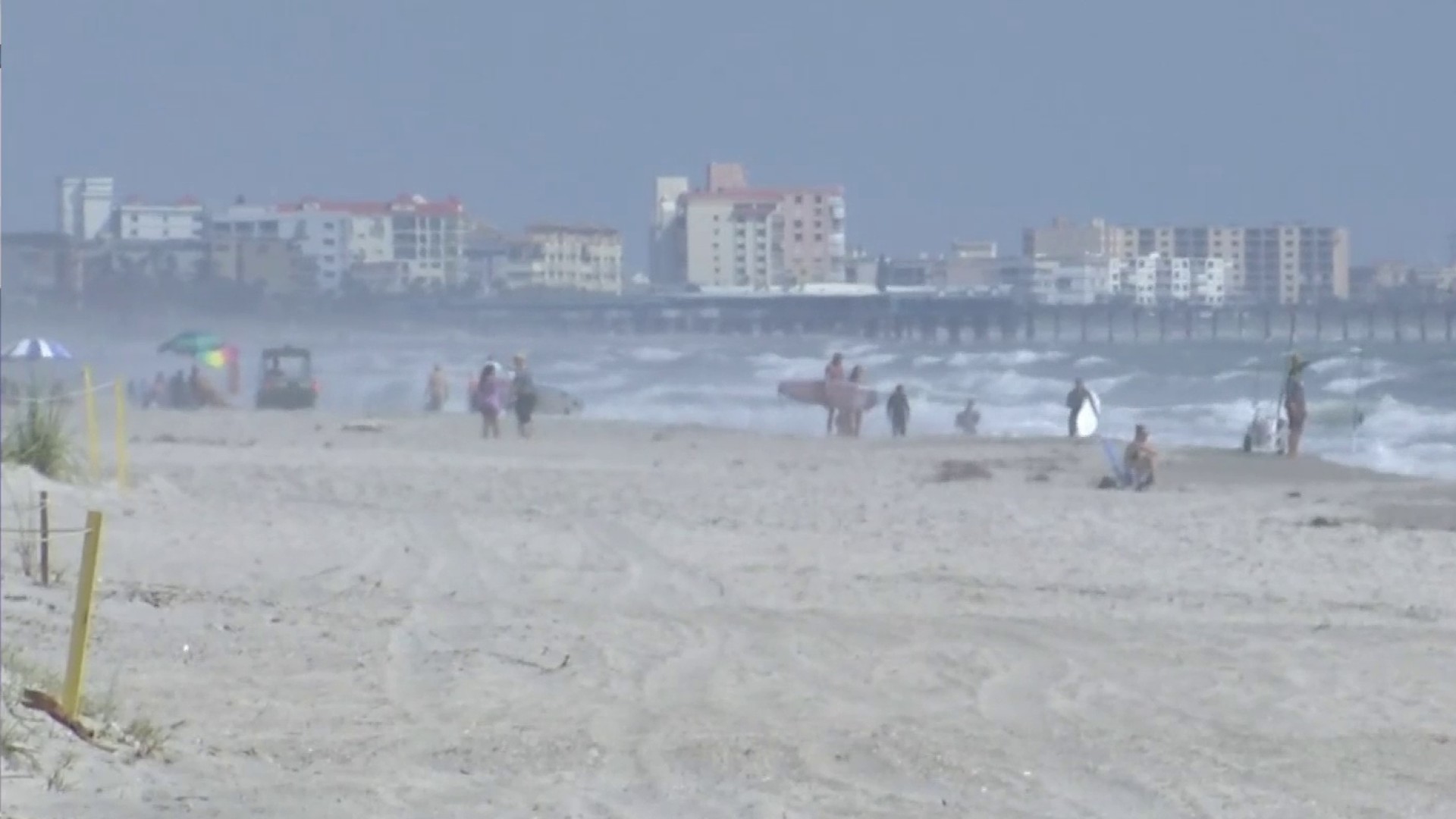 are dogs allowed on brevard county beaches