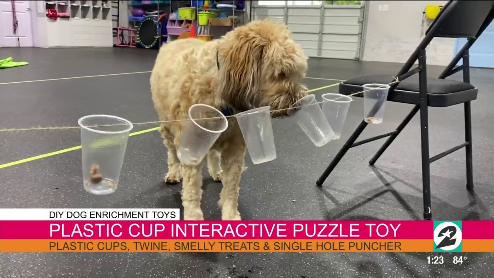 homemade puzzle toys for dogs