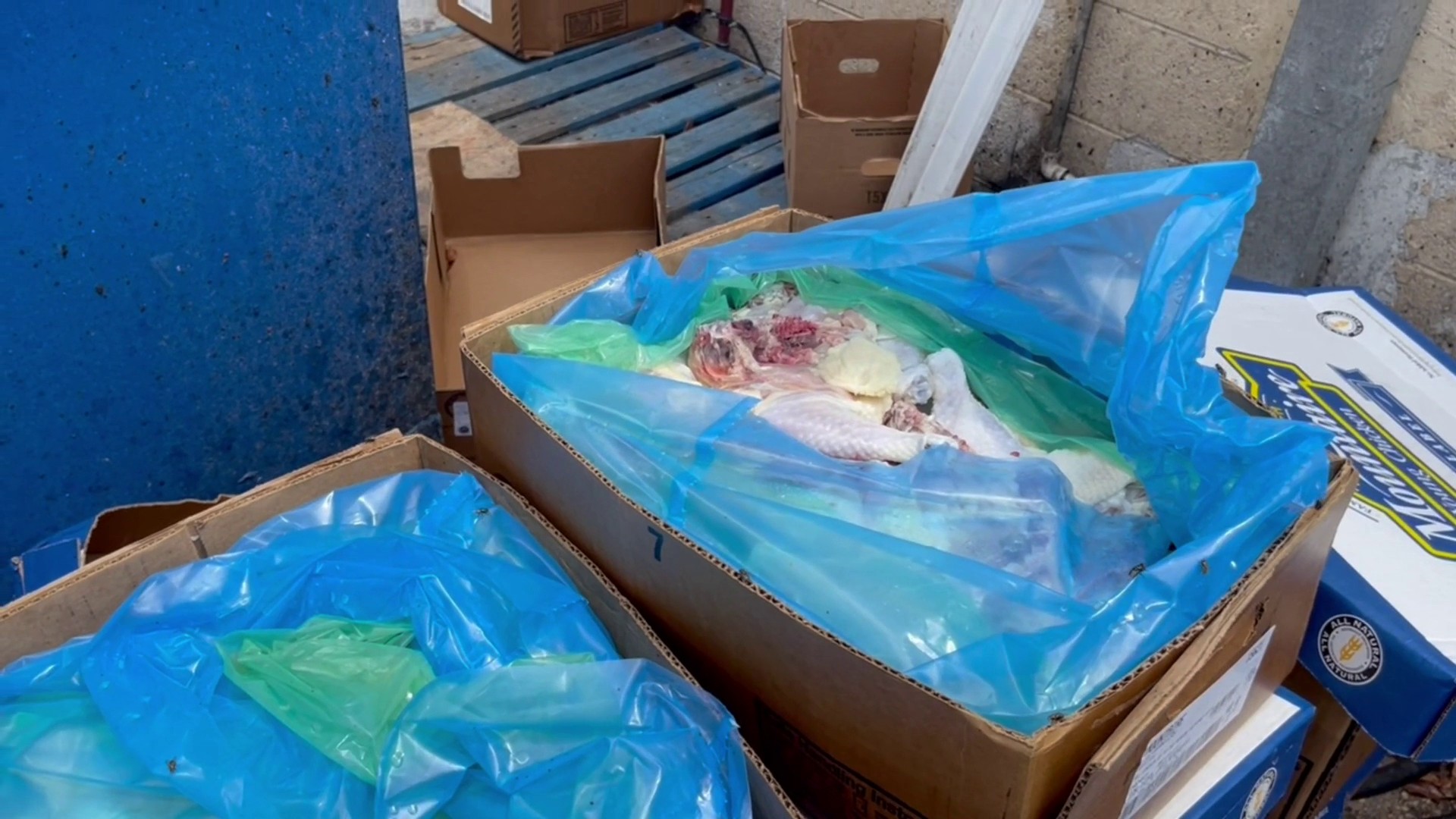Employee photographs dead rat inside catering business; Matchbox at Sawgrass  Mills also ordered shut