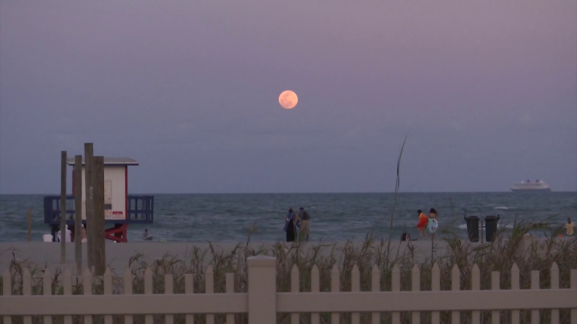 Look up, Orlando: The 'Super Pink Moon' will be at its brightest