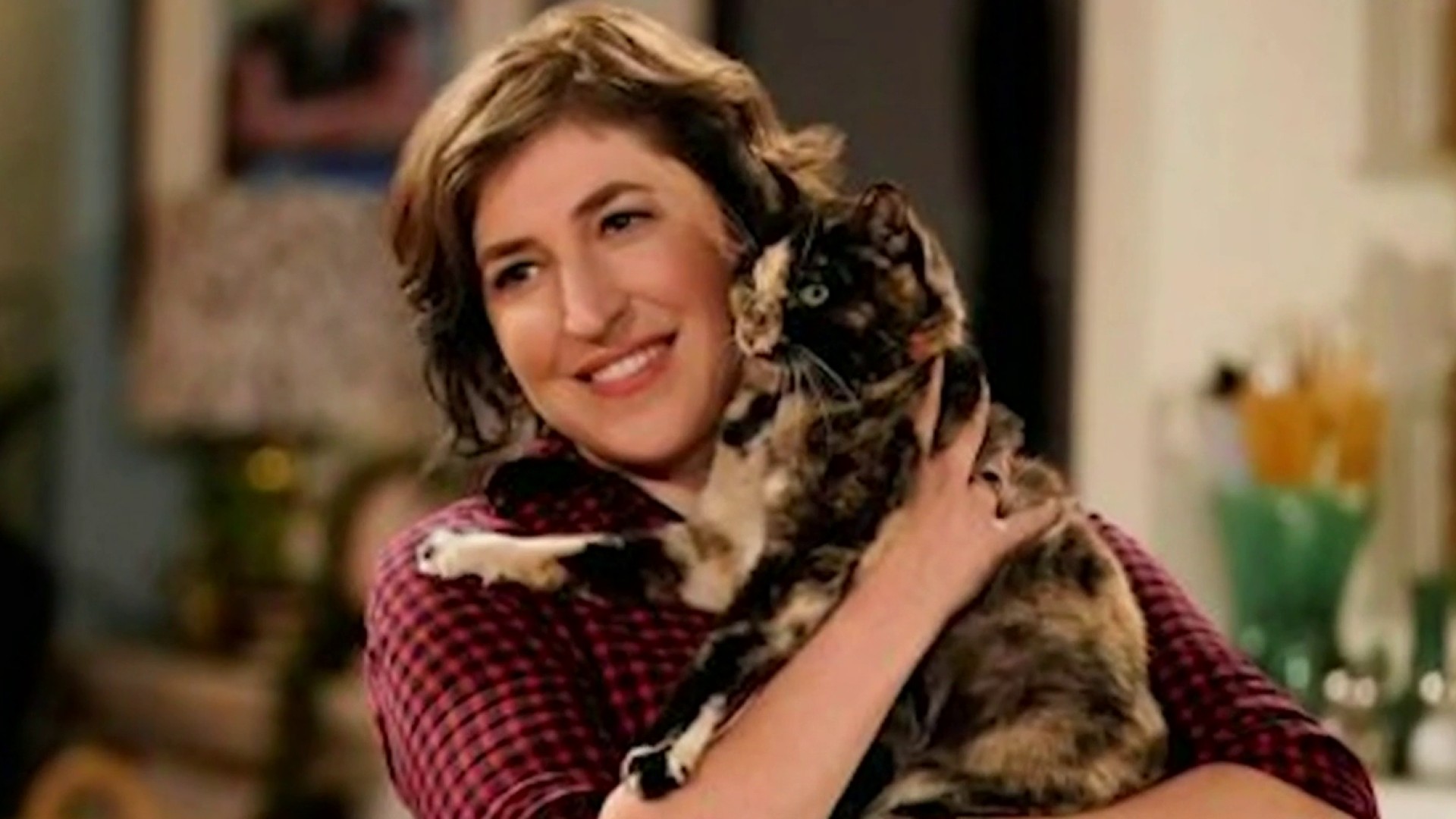 mayim bialik commercial cat food