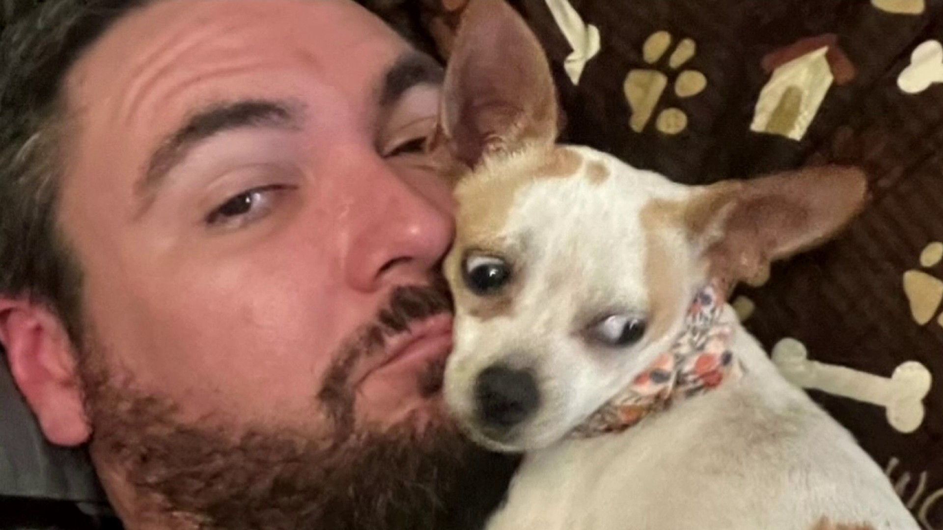 PHOTOS: These cute canines are the 'ulti-mutt' Astros fans!