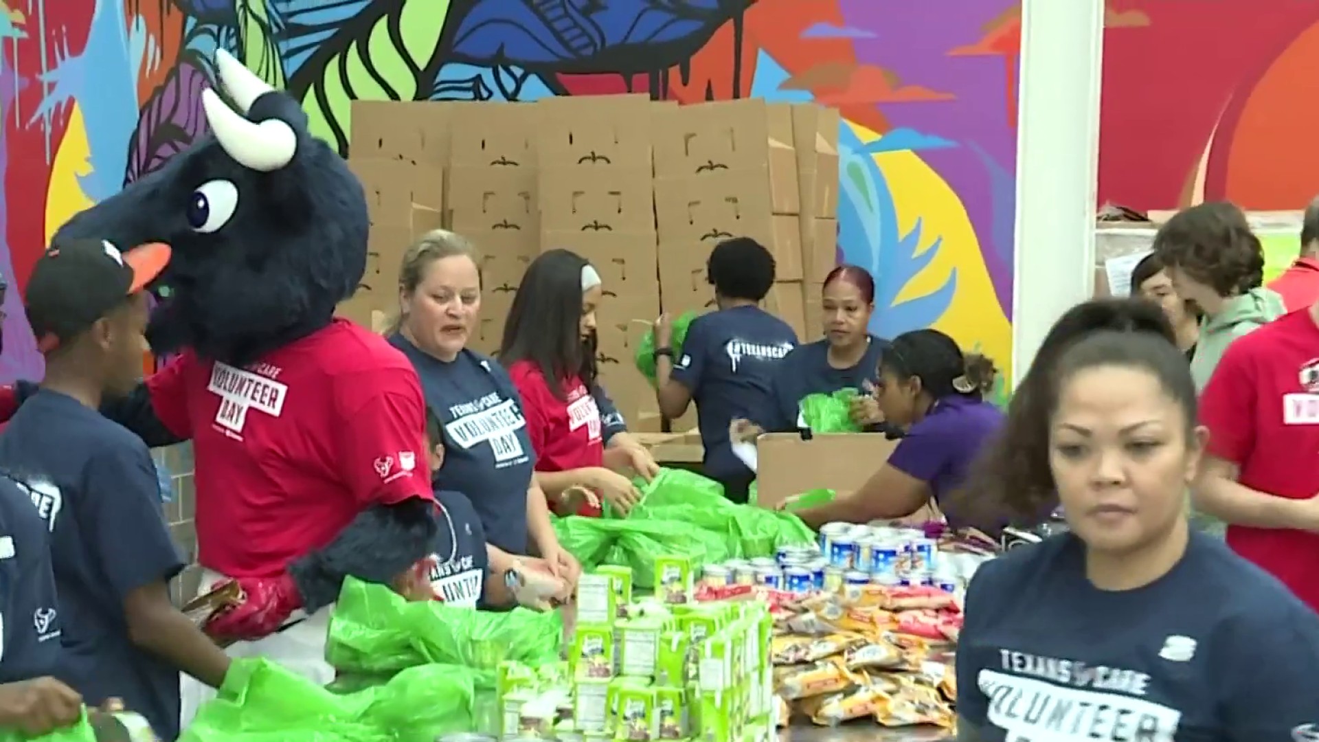 A great opportunity': Houston Texans, community give back during 11th  annual Texans Care Volunteer Day