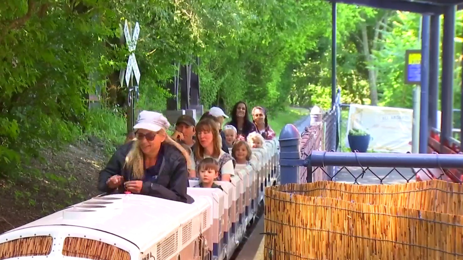 Mill Mountain Zoo kicks off holiday season with 'Jungle Bells