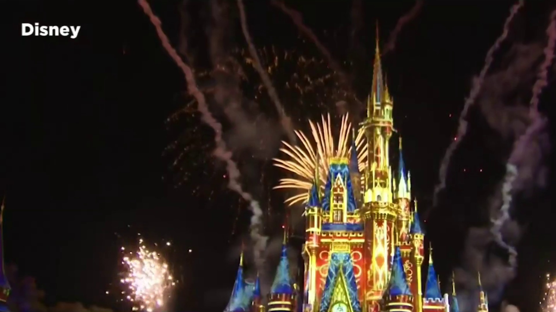 Walt Disney World Fireworks DVDS Details about   Disneyland