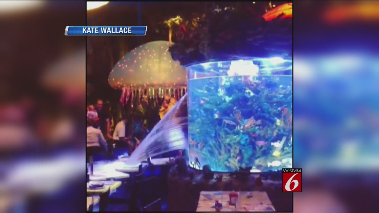 Fish tank bursts inside Downtown Disney restaurant