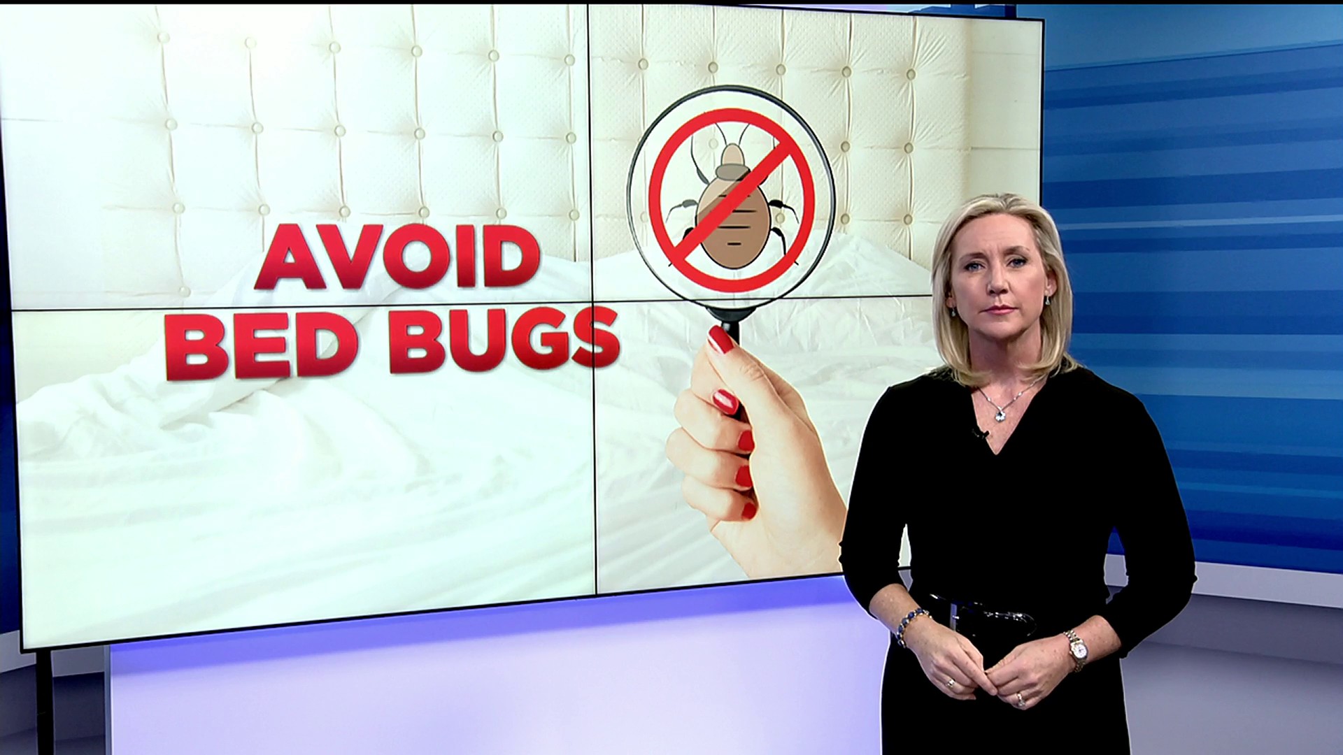 9 Items For Preventing Bed Bugs While Traveling That Will Help Protect You  & Your Belonging