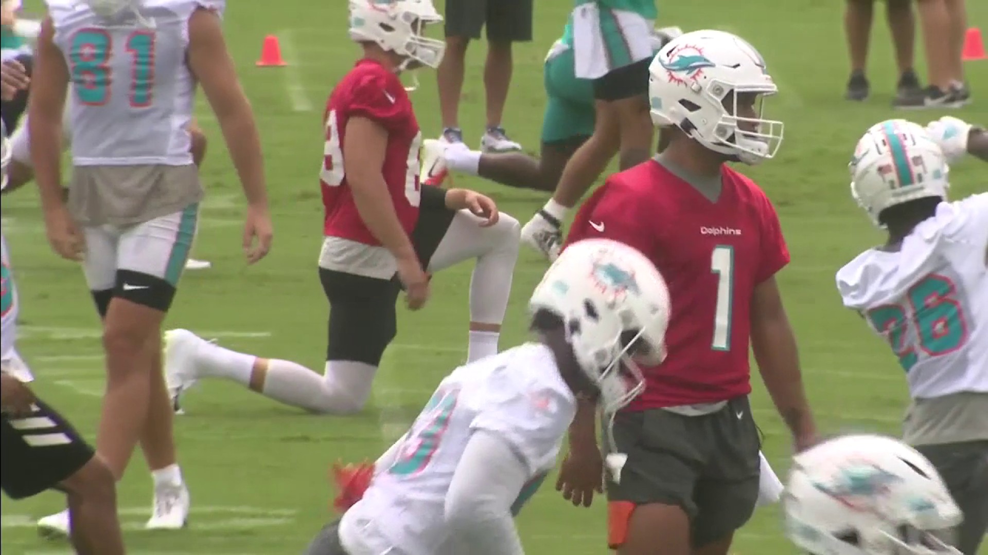 Dolphins training camp schedule and ticket info released