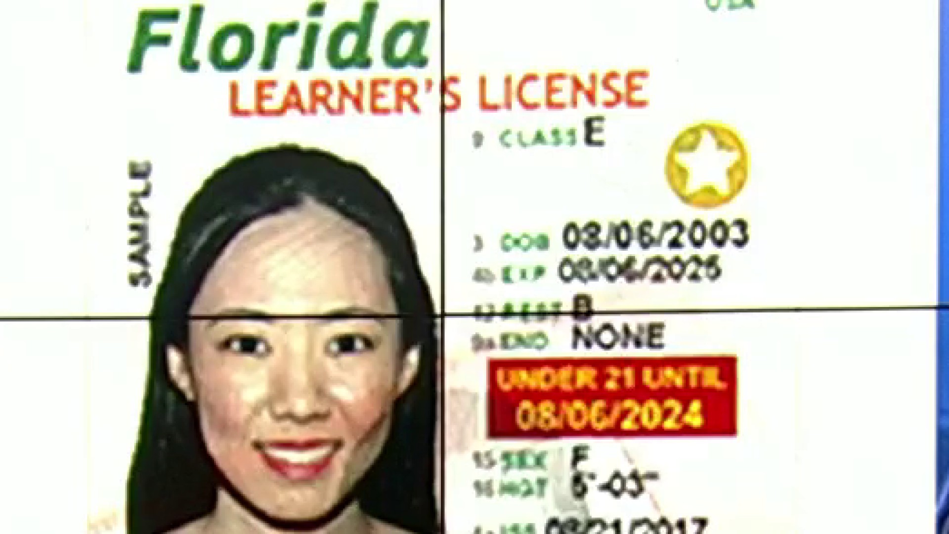 florida drivers license search