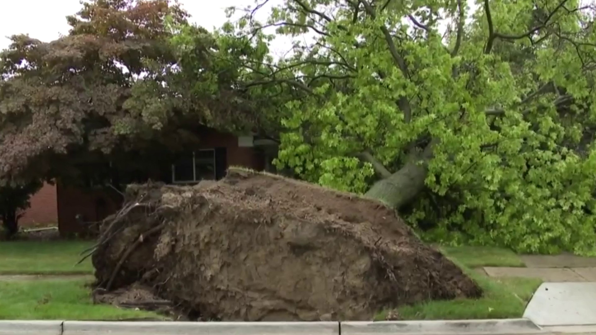 Tracking damage in Metro Detroit after round of severe storms on July 26,  2023