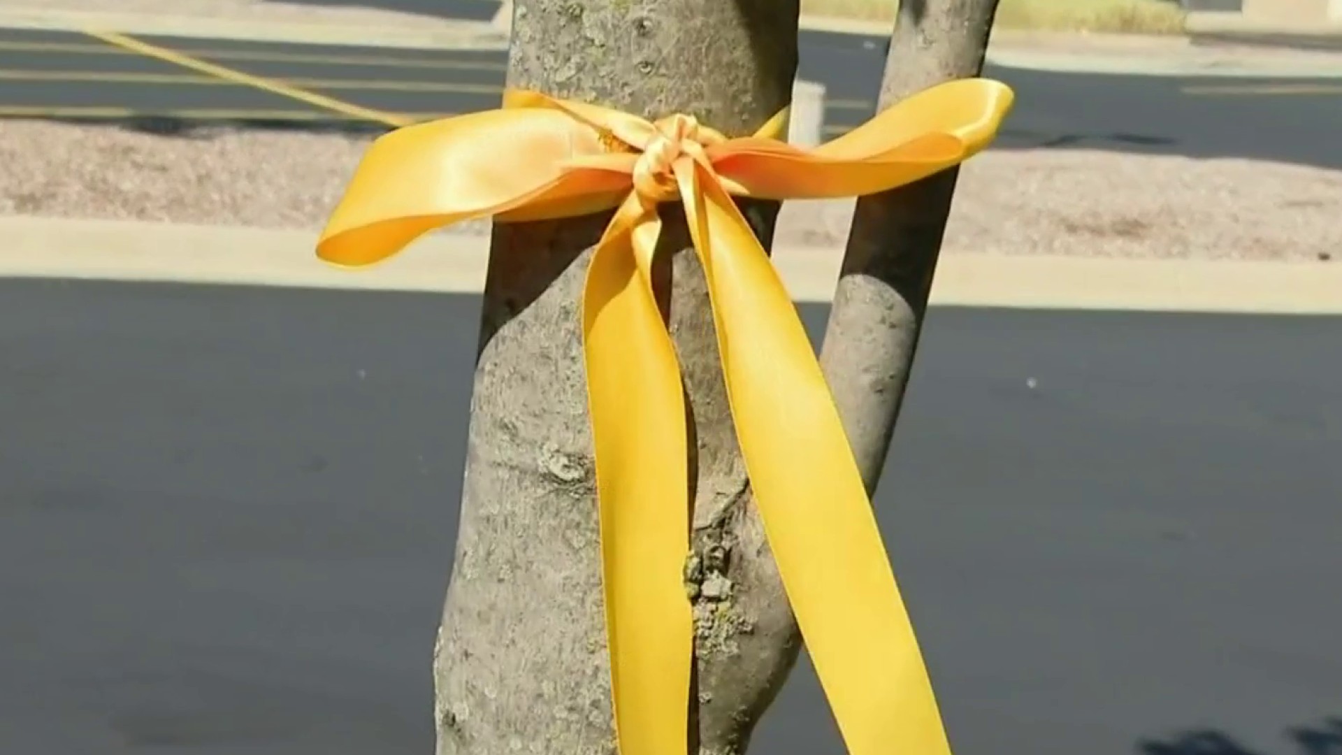 Gold ribbons bring awareness to childhood cancer