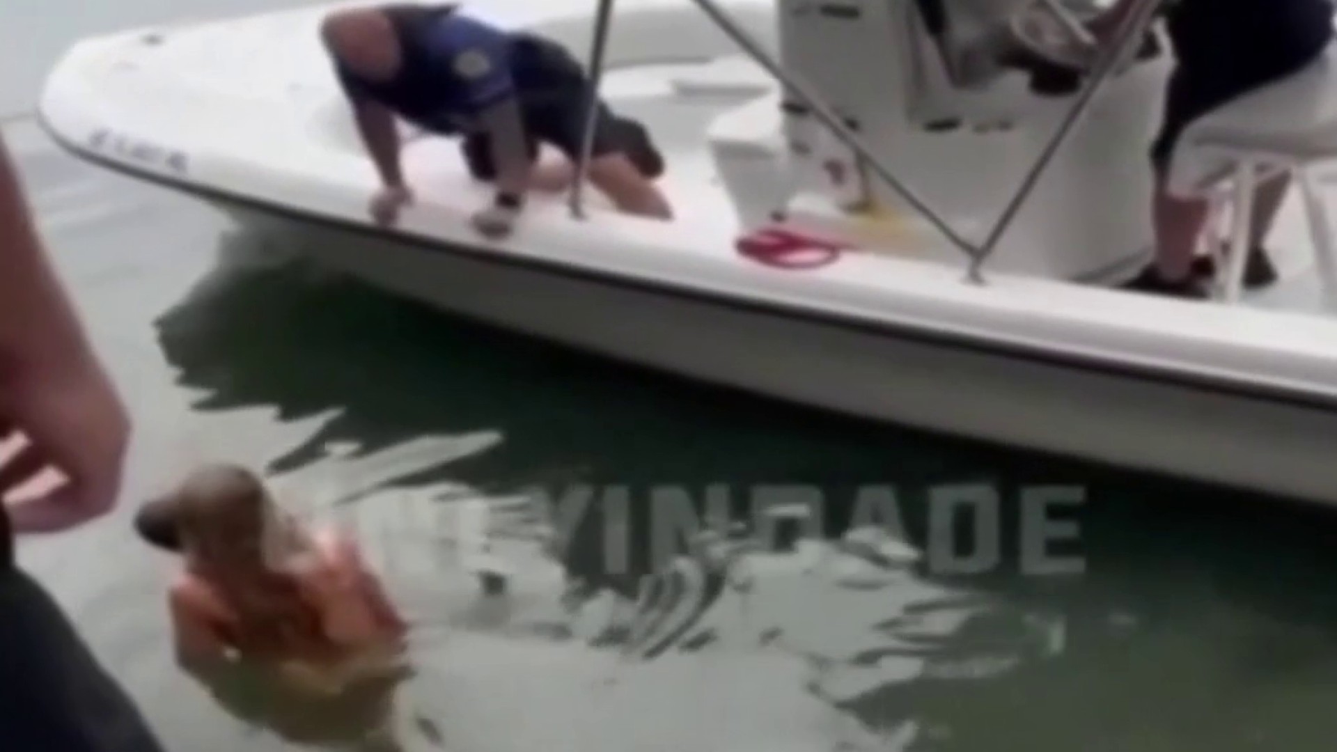 VIDEO Woman strips nude, jumps in water holding nephew, 3, to avoid arrest, Miami police
