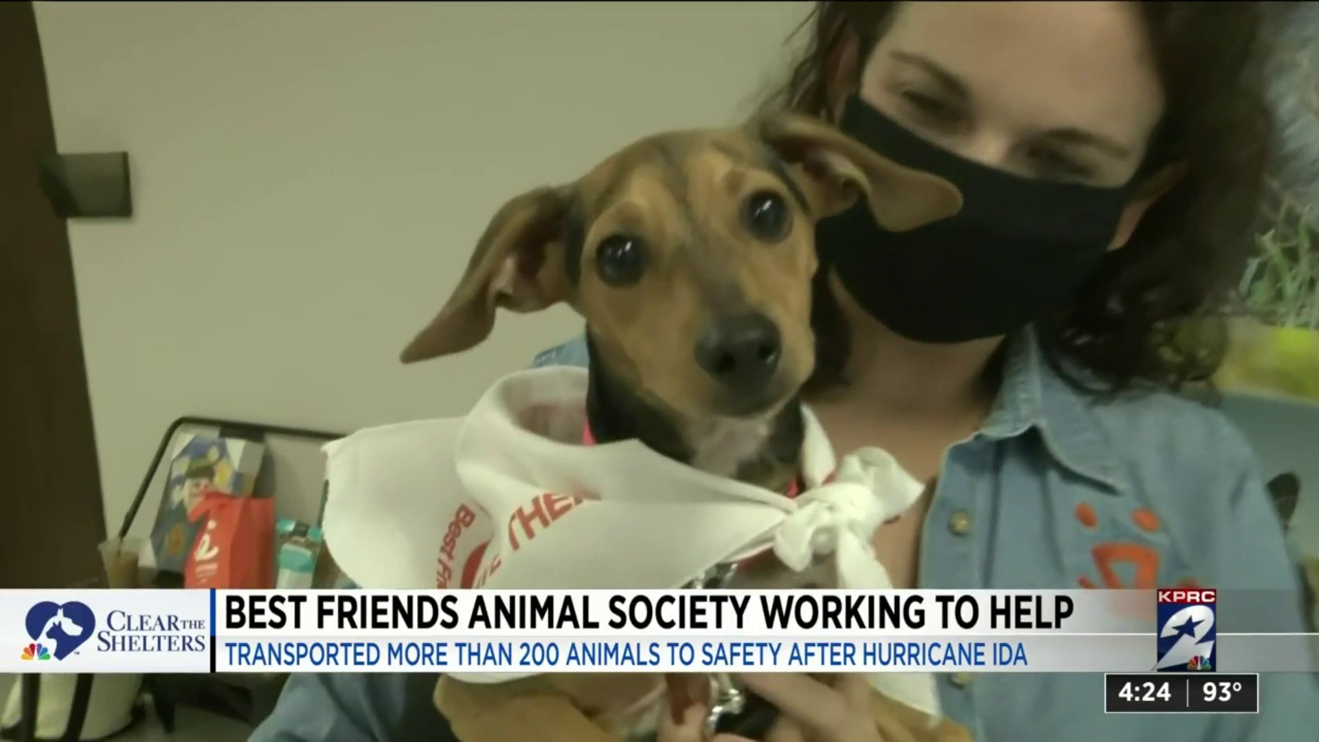 Houston businessman calls on Houston to help clear the shelters