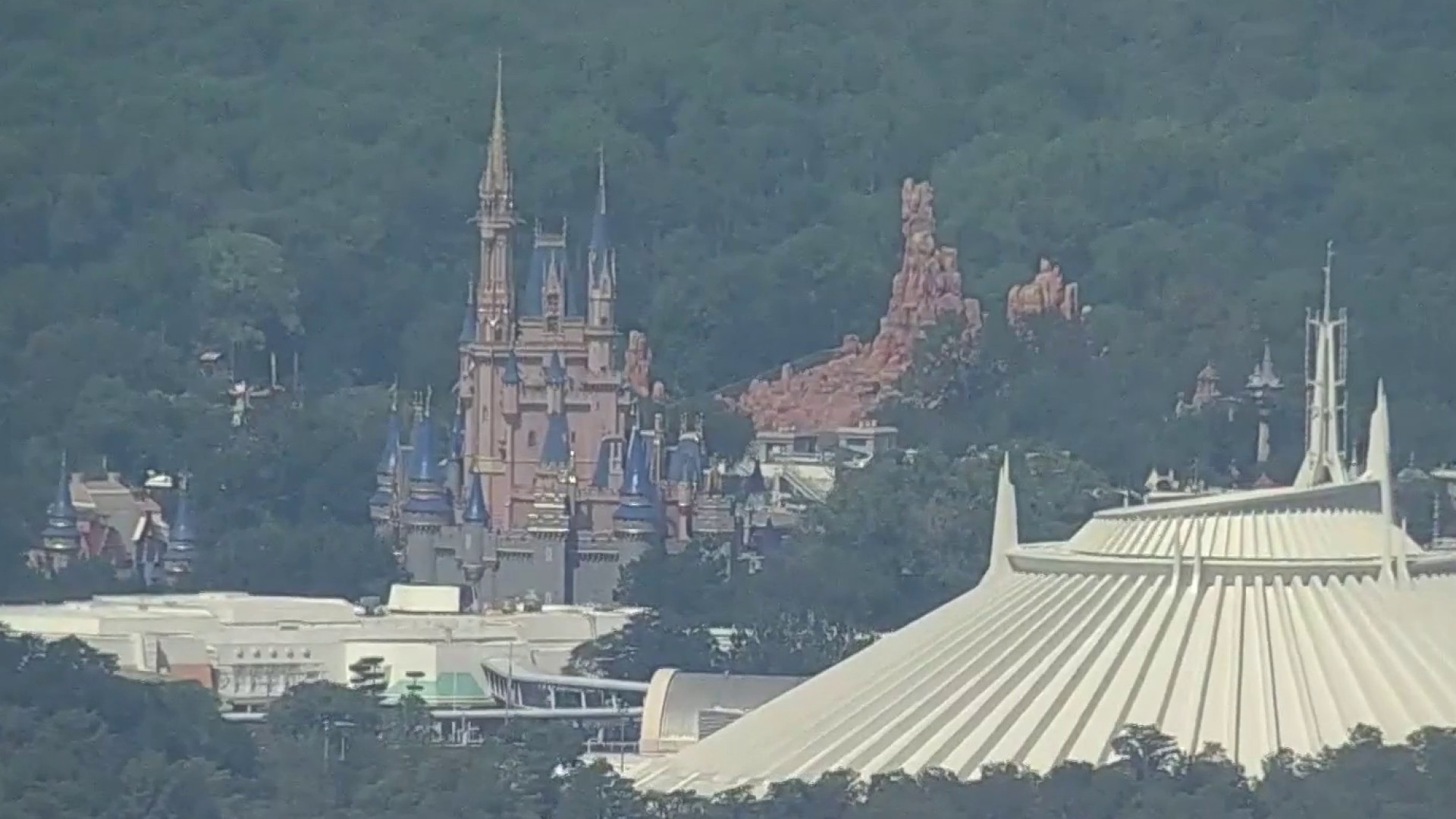 Bear at Disney's Magic Kingdom captured, Florida officials say