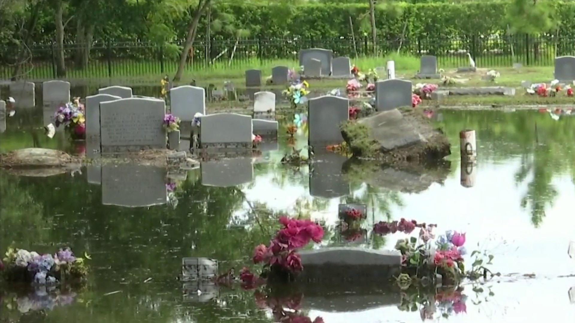 Lawsuit Blames Developer For Flooding At Tildenville Oakland Cemetery