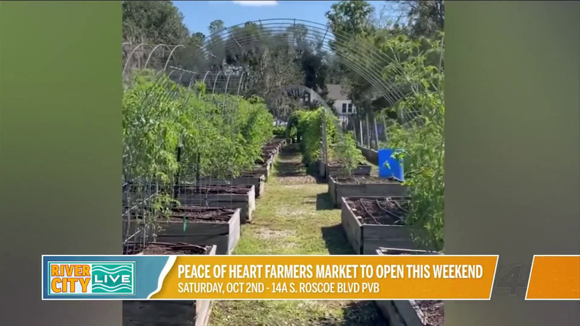 Peace of Heart Farmers Market River City Live