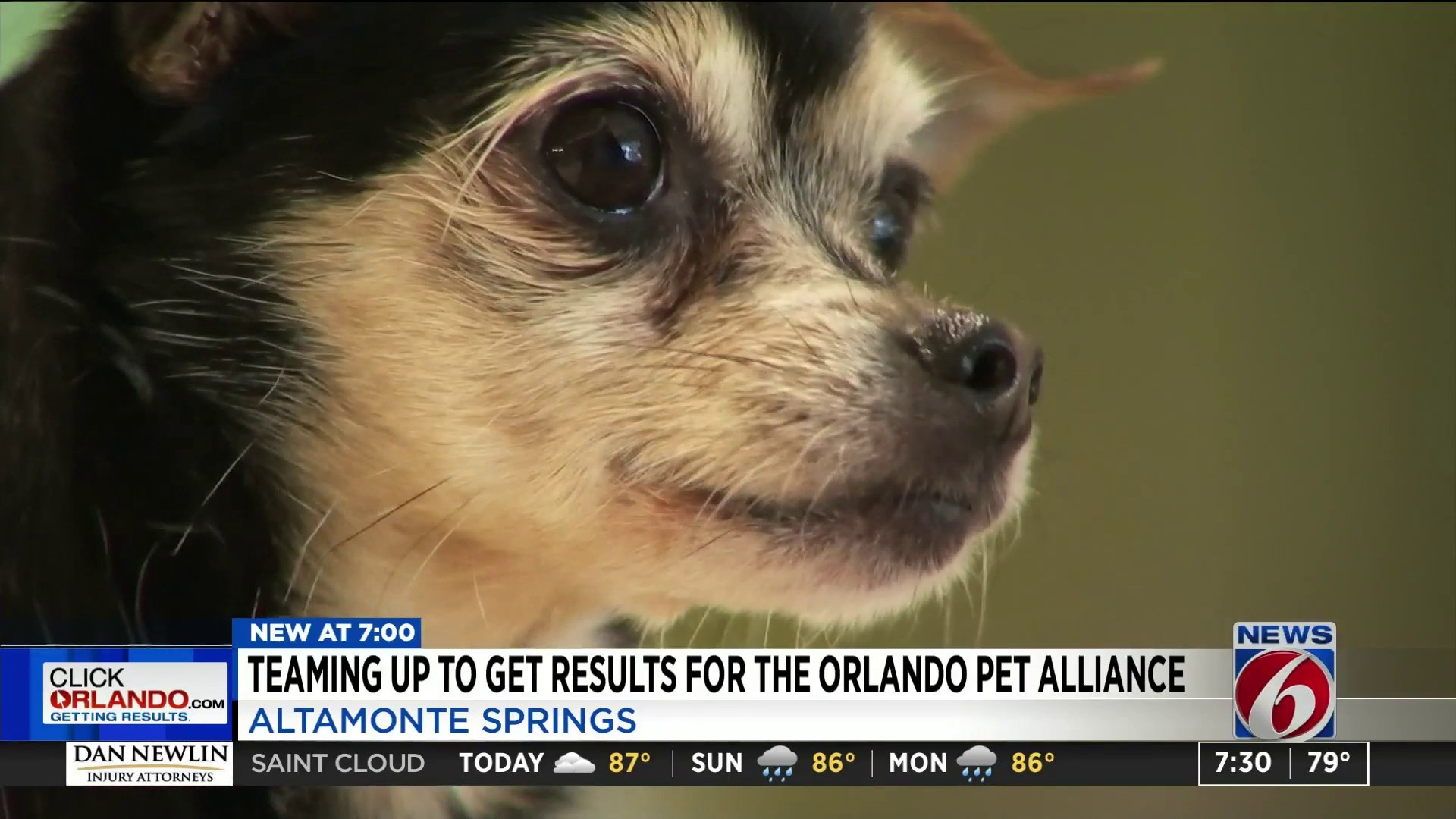 Jared's offers discounts with donations toward Pet Alliance in Orlando