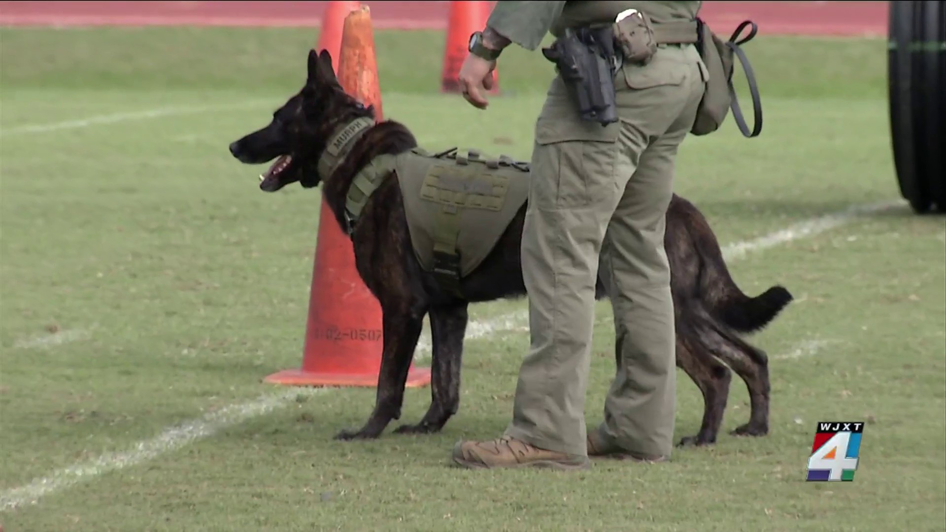 Meet UTPD's K9s Who Help Keep UT Safe : Police Department