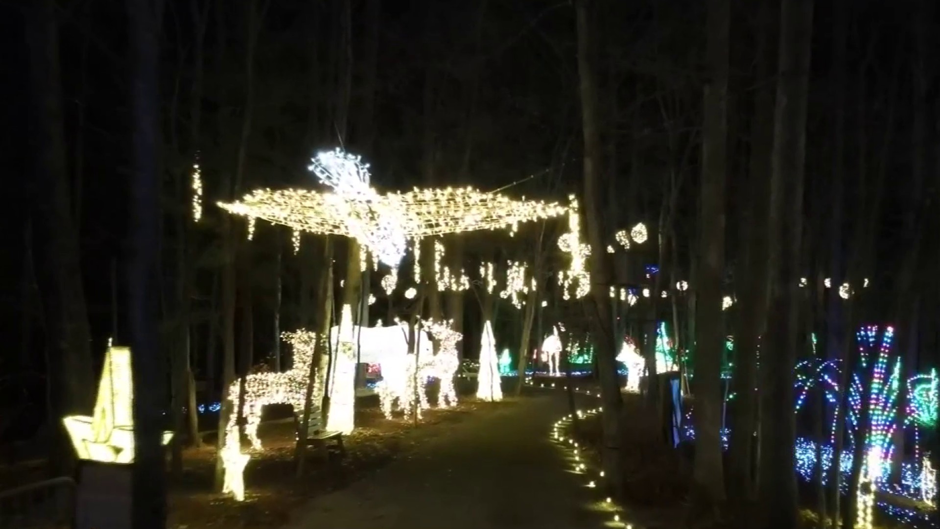 16+ Roanoke Christmas Lights KennishaBria