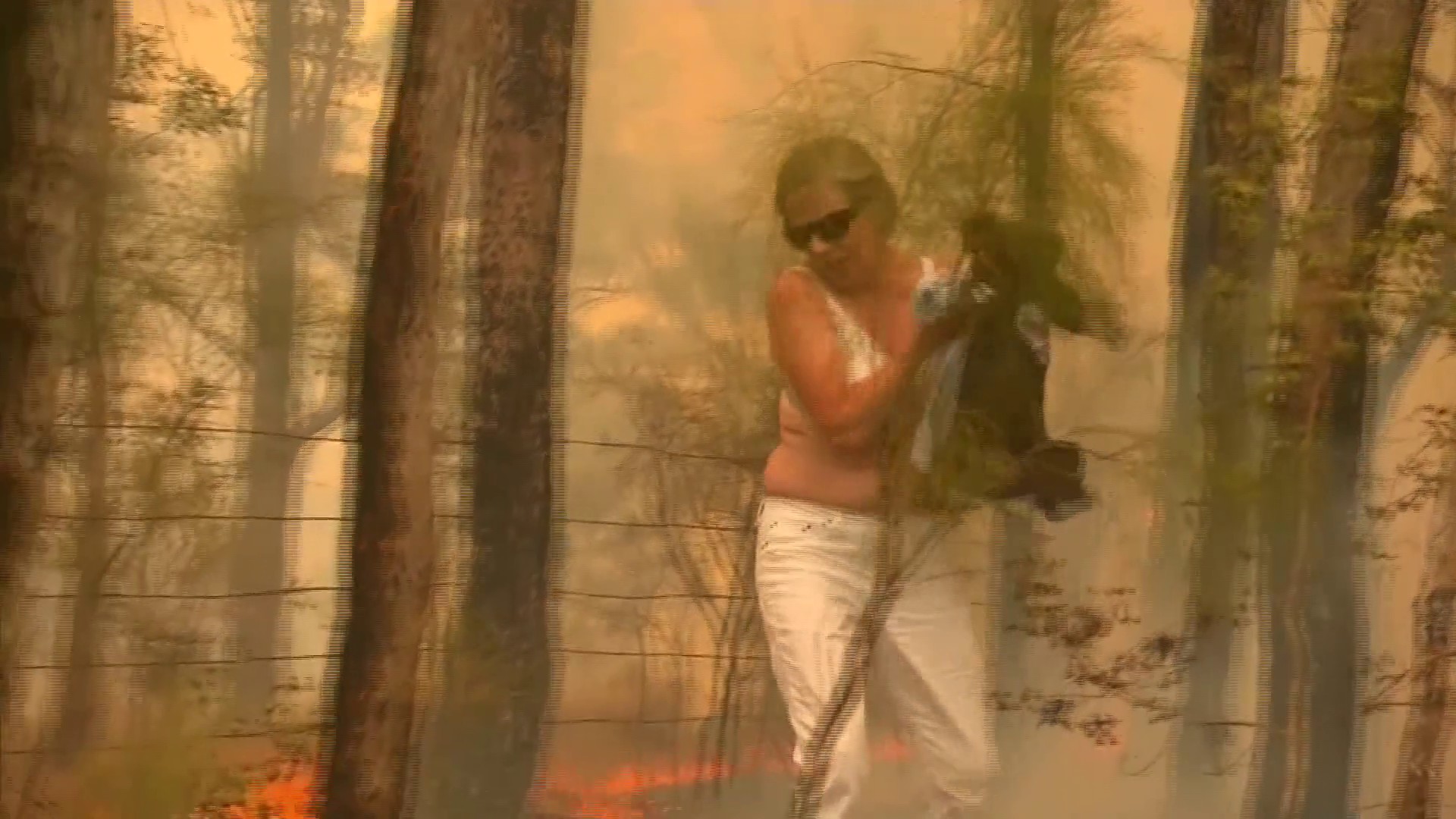 Woman gives shirt off her back to save koala caught in bush fire