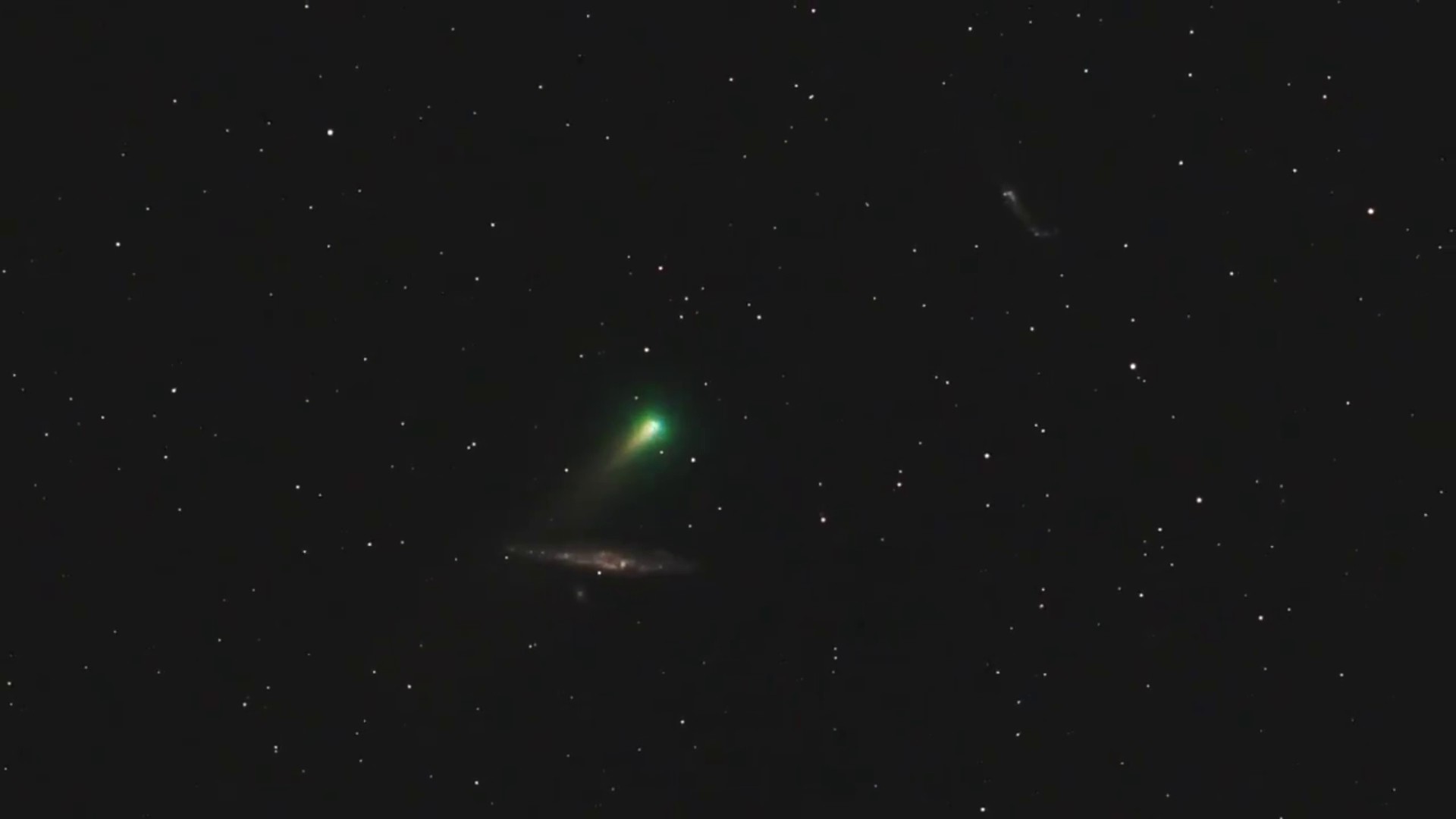 Founding astronomer tells 10 News when, where and how to see Decembers comet Leonard