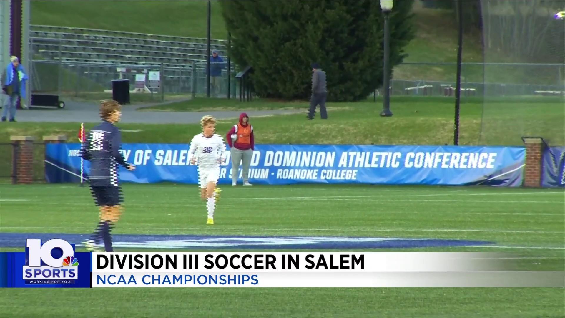 Salem defeats Canton in Div. 1 District soccer championship 2-1