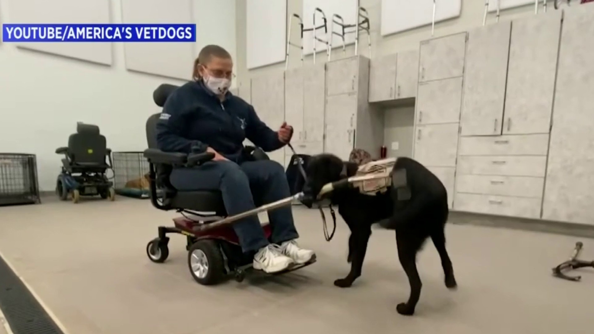 America's VetDogs